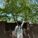 평산오리농장 이미지