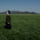 삼호 태양광발전소 이미지