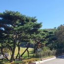 골프와사람들 - 금천구 가산로 53 | 골프와사람들