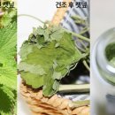 푸리파우더