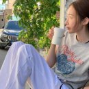 리파잘유