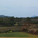 제주 휴리조트 2 네이버블로그