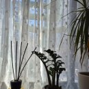 가나무로 | 파주 피부관리 수에스테틱 &amp; 어나더블랙, 편안하게 받을 수 있는 관리 후기 ✨