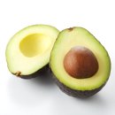 권안경원 이미지