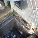 코리아 설비 공사 이미지