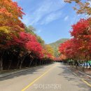 ㈜한국교통(마을버스) 이미지