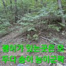 백두대간 버섯산행.144 (악산산행) 이미지