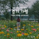 덕정 대왕참나무길 | 2025 한강수계걷기행사 - 가평 한강수계 자라섬 코스 후기 🚶🏻‍♀️🌿