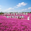 경상남도 산청군청 | 산청 꽃잔디 축제