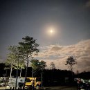 말보로맨 | 강원도 속초시 말보로맨, 리뷰, 연락처, 후기