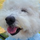 송탄우리약국 이미지