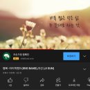 IBIG(아이빅)