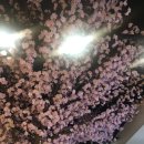킹카모텔 | 마산 댓거리 밥집 도쿄스테이크