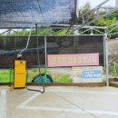 보성세차장 이미지