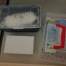 평대대수굴바당조끄띠 이미지