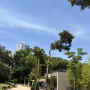 수원편의점 | 광교호수공원 피크닉 텐트 돗자리 배달 주차 편의점 후기 / 수원 광교 데이트 산책 추천