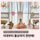 청솔플라워 - 고양시 덕양구 호국로 531 | 대구 돌잔치 후기, 하루 한 팀 프라이빗 공간 황금향 돌잔치