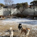 놀러오개 이미지