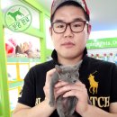 창원강아지분양 고양이분양 도그마루 이미지