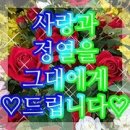 대원A장미 | DW페스타 후기