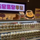 포당포당 | 창원 롯데백화점 지하1층 이치란라멘 디저트페어 팝업 포당포당푸딩
