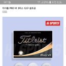 골프공4피스,타이틀리스트pv1 이미지