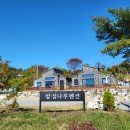 네이처나루