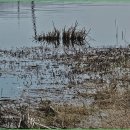 연락수로 이미지