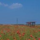 엔오엔팜 이미지