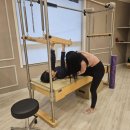 타이거 휘트니스 이미지