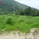 강화목장 이미지