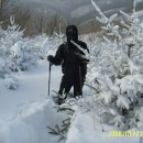 대관령약국 이미지