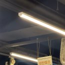 안산 선부동 이미 유명한 맛집 [ 황소숯불꼼장어 ] 내돈내산 후기
