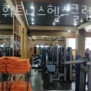 스타존 휘트니스 이미지