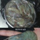 용선농장 이미지