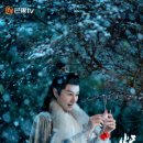 성우상사 이미지