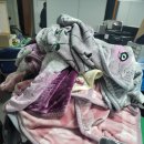 동경의료기 이미지