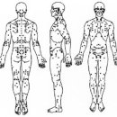 강남제일한의원 이미지