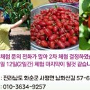 검산 농장 이미지