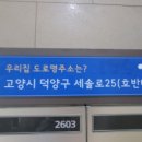 동산동-12 이미지