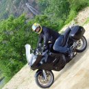 영동어죽 이미지