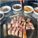 판포리뷰