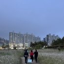 누프 | W4. 울산 부산 웨딩스냅 촬영후기 (딜리제스튜디오, 메이크업 누프)