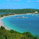 우리들이 보는 세상 이미지