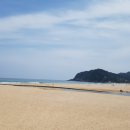 바다정원 이미지