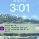 1시간 마트 | [내돈내산] 컬리나우를 아시나요...? 1시간 배송 사용후기 ! 🚀