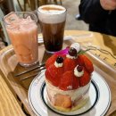 더내천 | 카페거리점] 마담 크림 커피 • 토마토주스 &amp; 12cm 딸기 밀크케이크 | 애견 동반 가능한 별내천 카페☕️