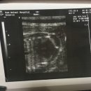 우암동물병원 이미지