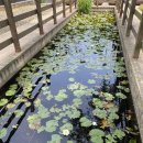 식물원 화장실 이미지