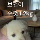 금수보건지소 이미지